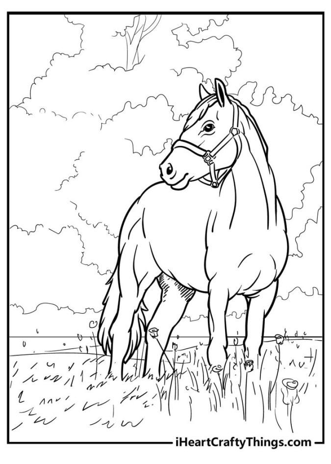 Horse Coloring Pages (% Free Printables)