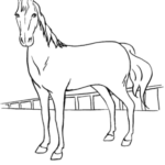 Horse Coloring Pages, Sheets And Pictures