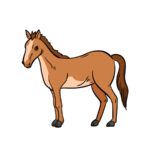 Horse Drawing – How To Draw A Horse Step By Step!