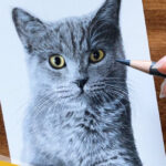 How To Draw A Cat With Colored Pencils Beginner Tutorial  Drawing A Cat  Step By Step