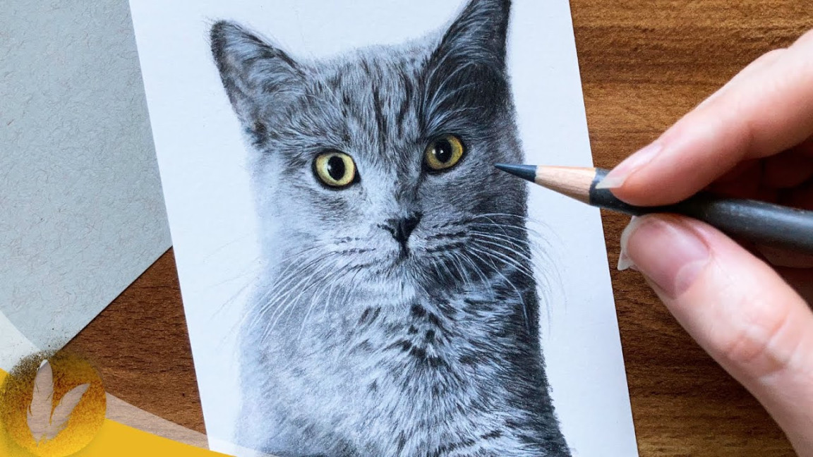 How To Draw A Cat With Colored Pencils Beginner Tutorial  Drawing A Cat  Step By Step