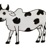 How To Draw A Cow Easy Step By Step  Cow Drawing