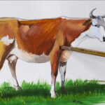 How To Draw A Cow  Poster Colour Painting