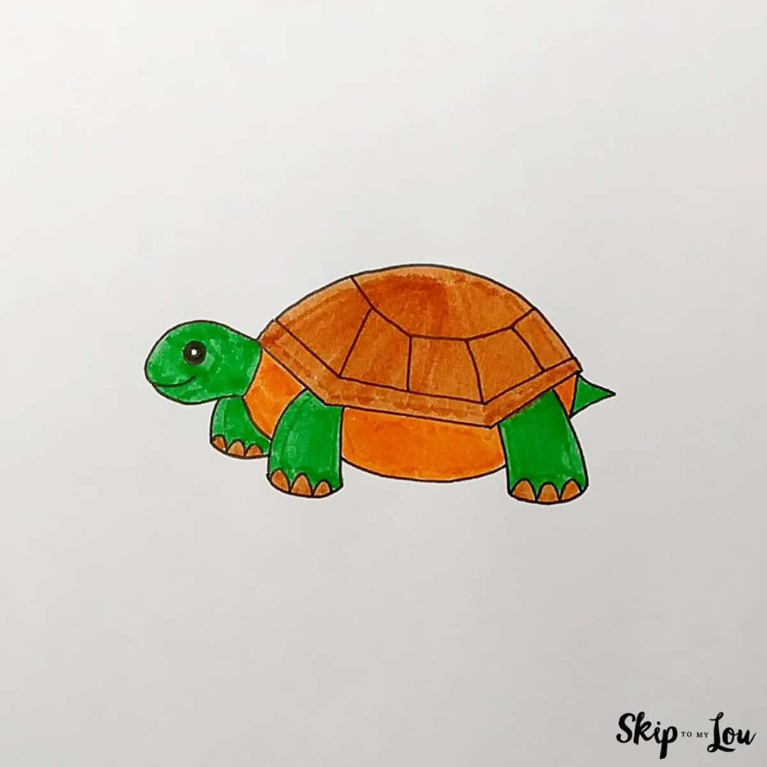 How to Draw a Turtle  Skip To My Lou