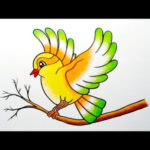 How To Draw Bird Step By Step  Bird Drawing Colour  Very Easy Bird  Drawing For Beginners..