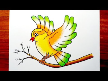 How to Draw Bird Step by Step  Bird Drawing Colour  Very Easy Bird  Drawing for Beginners..