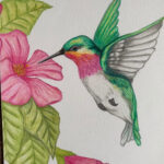 Humming Bird Coloured Water Pencil Drawing A Print – Etsy Canada