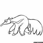 Jungle Animals Online Coloring Pages