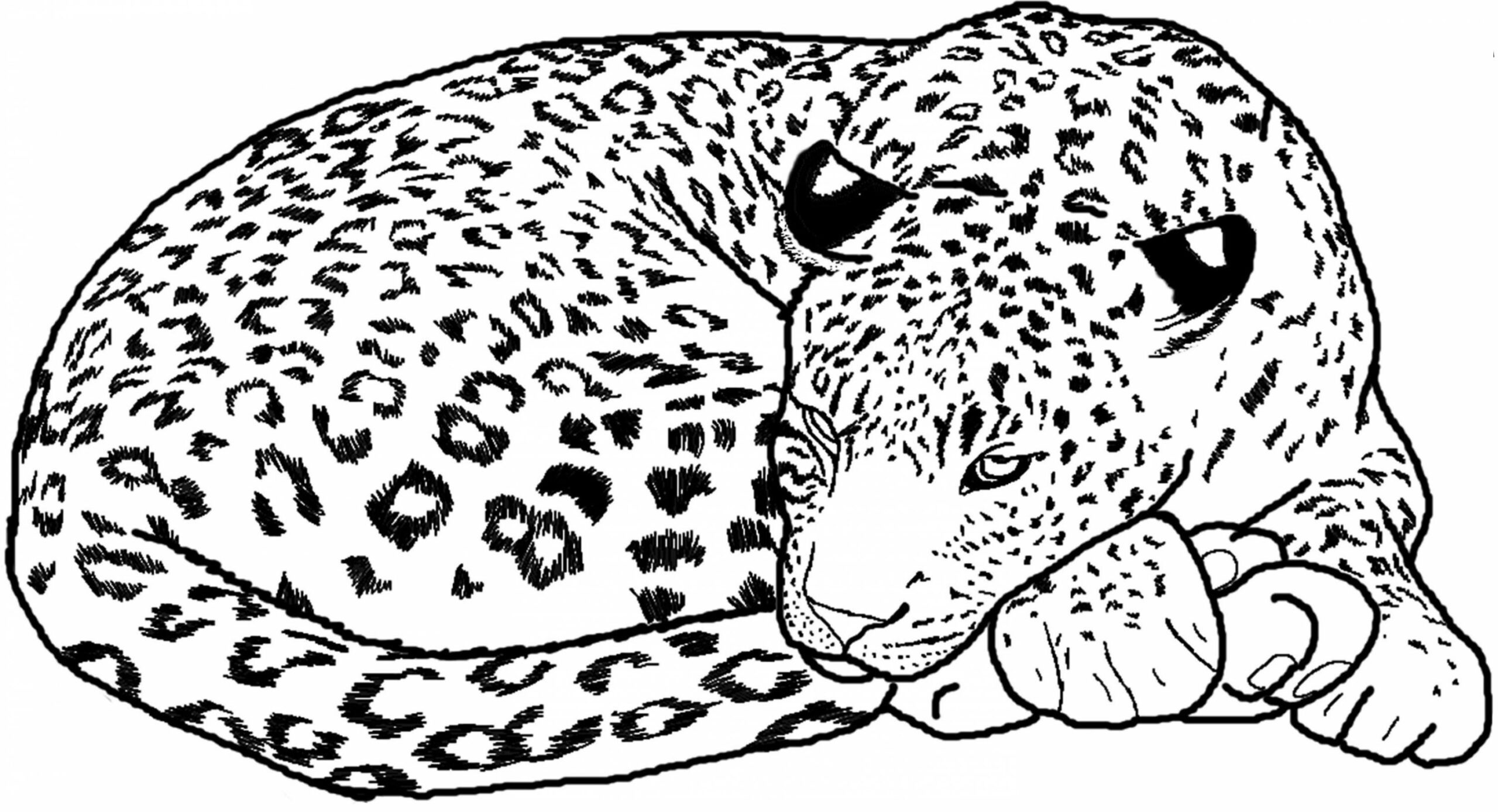 Leopard Coloring Pages - Best Coloring Pages For Kids