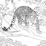 Leopard Realistic Animal Coloring Pages Stock Illustration