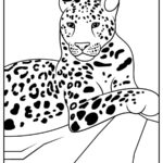 Leopards Coloring Pages (% Free Printables)