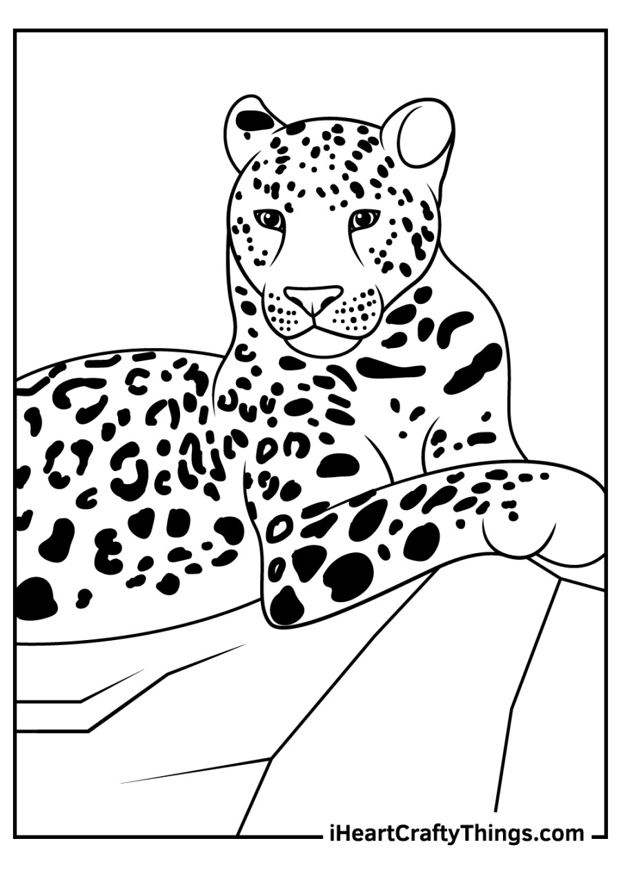 Leopards Coloring Pages (% Free Printables)