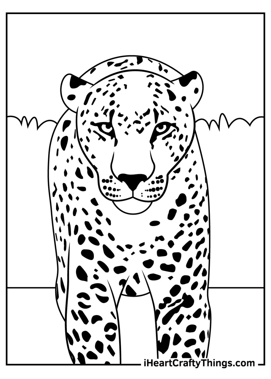 Leopards Coloring Pages (% Free Printables)