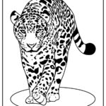 Leopards Coloring Pages (% Free Printables)