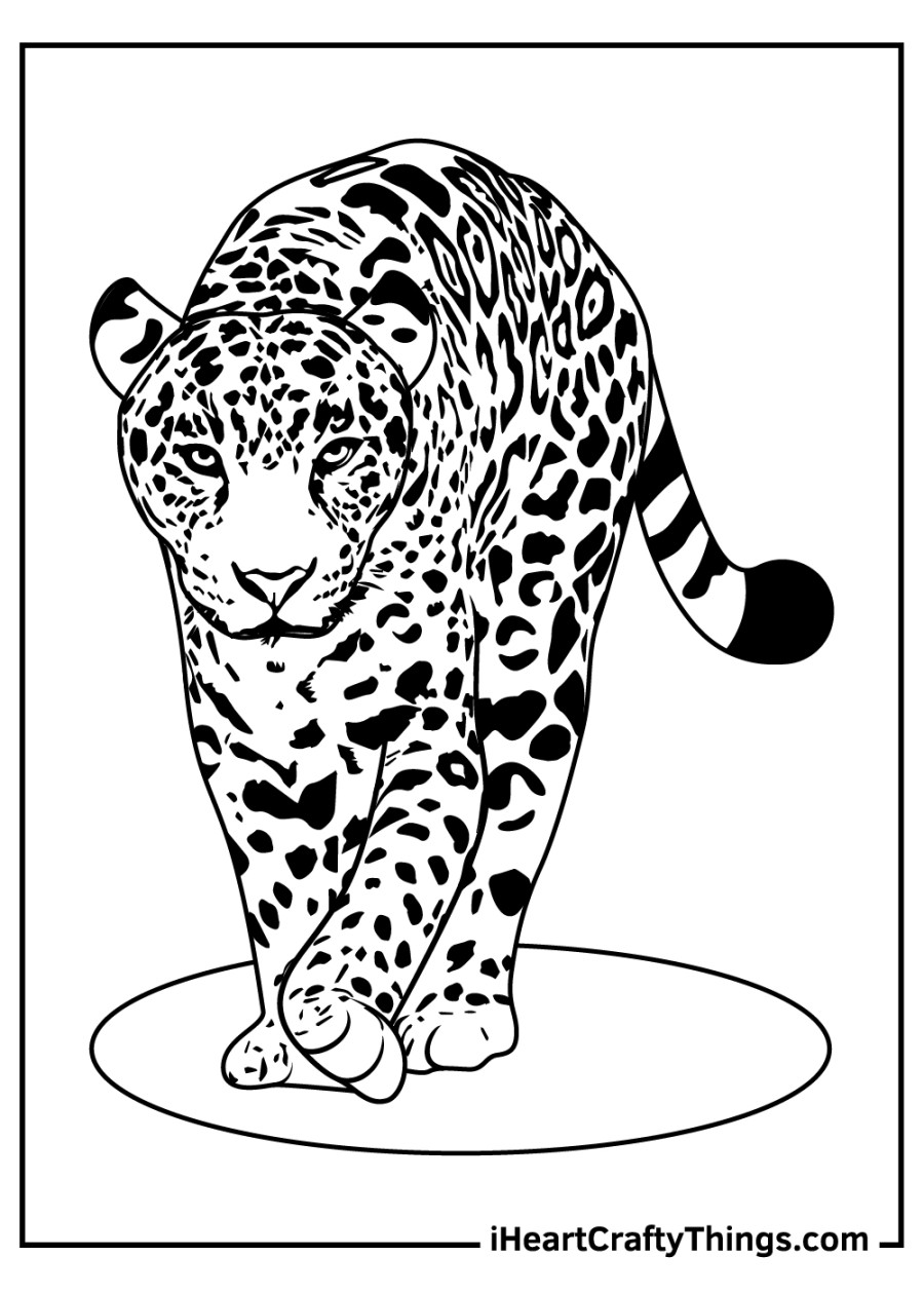 Leopards Coloring Pages (% Free Printables)