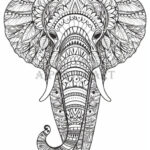 Mandala Style Elephant Coloring Page For Adults – Printable Coloring Sheet  – Advanced Coloring – Patterned Elephant – High Res, X