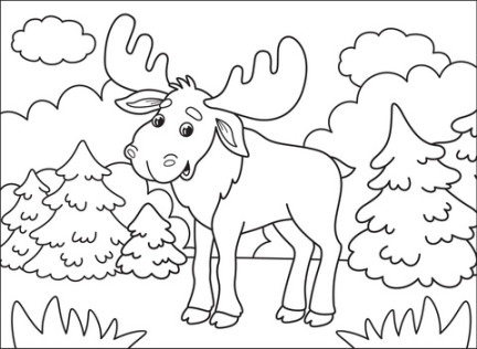 Moose coloring page  Free Printable Coloring Pages