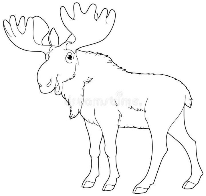 Moose Coloring Page Stock Illustrations –  Moose Coloring Page