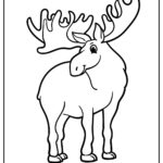 Moose Coloring Pages (% Free Printables)