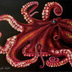 Octopus  By Jennifer S