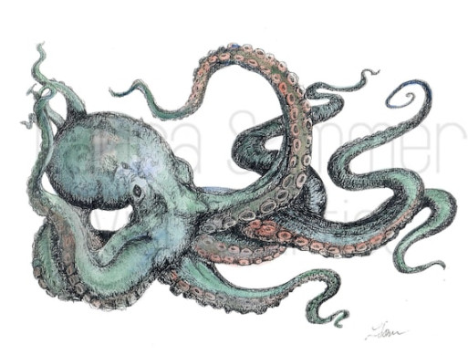 Octopus Illustration in Water-color Paint and Black Pen - Etsy