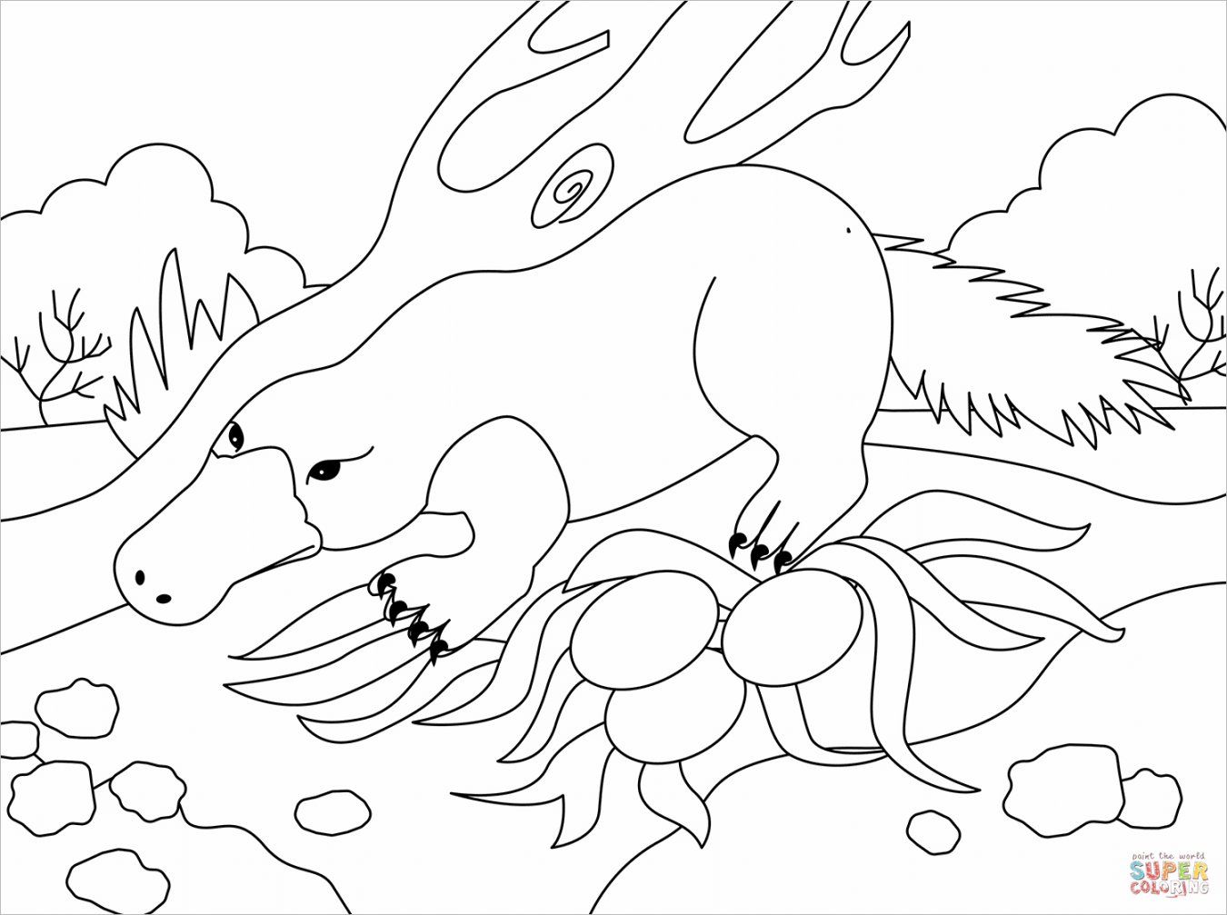 Platypus coloring page  Free Printable Coloring Pages