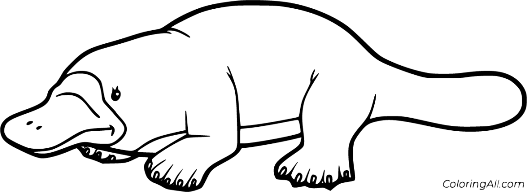 Platypus Coloring Pages - ColoringAll