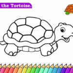 Premium Vector  Coloring Page For Tortoise Vector Illustration