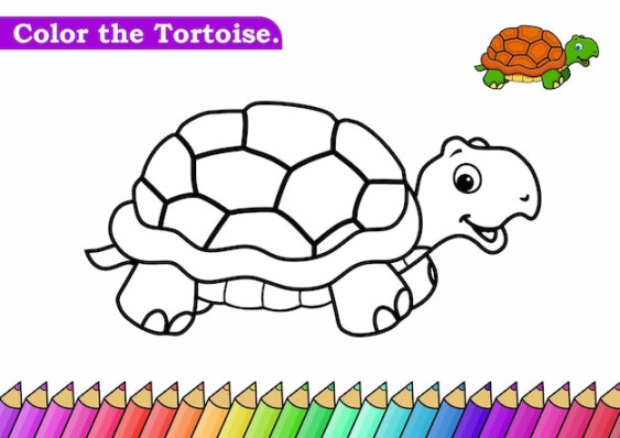 Premium Vector  Coloring page for tortoise vector illustration