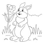 Premium Vector  Rabbit Coloring Page For Kids