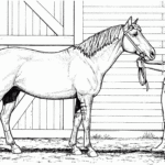 Printable Realistic Horse Coloring Page  Horse Coloring Pages