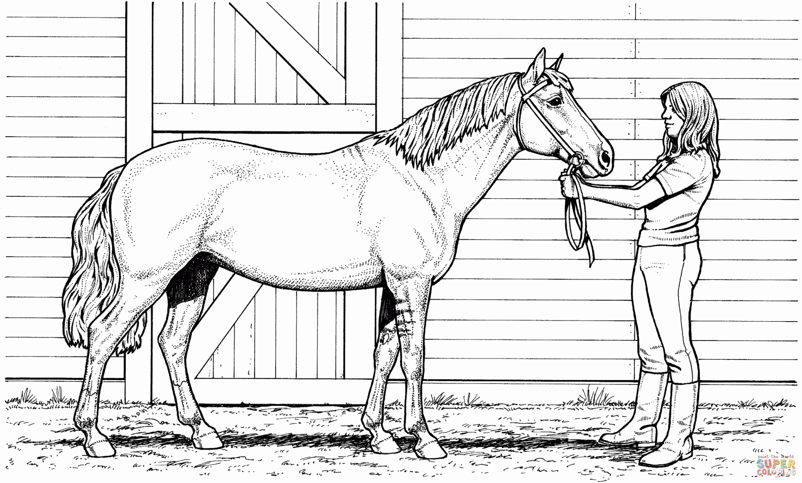 Printable Realistic Horse Coloring Page  Horse coloring pages