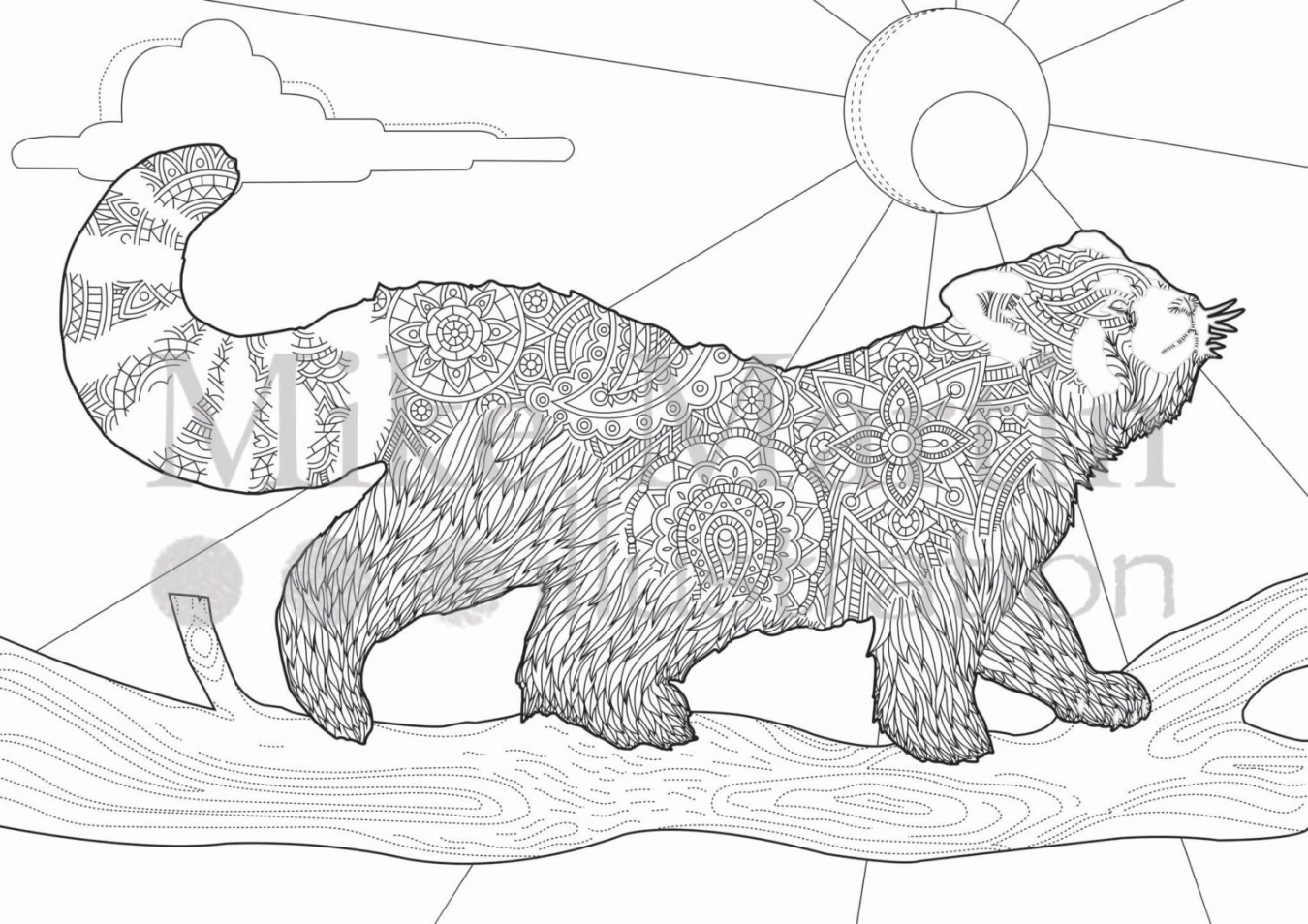 Printable Red Panda Coloring Page Instant Download Adult - Etsy UK