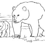 Promenade – Bears Kids Coloring Pages