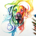 Rainbow Dog Color Drawing By Katy Lipscomb Art  No