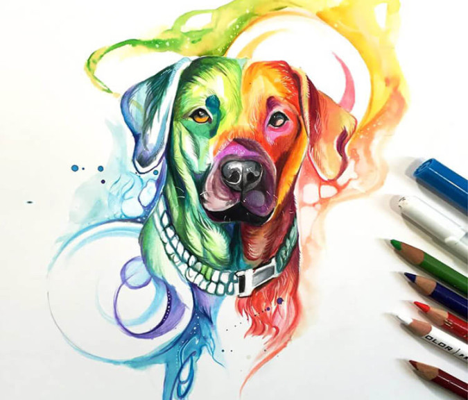 Rainbow Dog color drawing by Katy Lipscomb Art  No