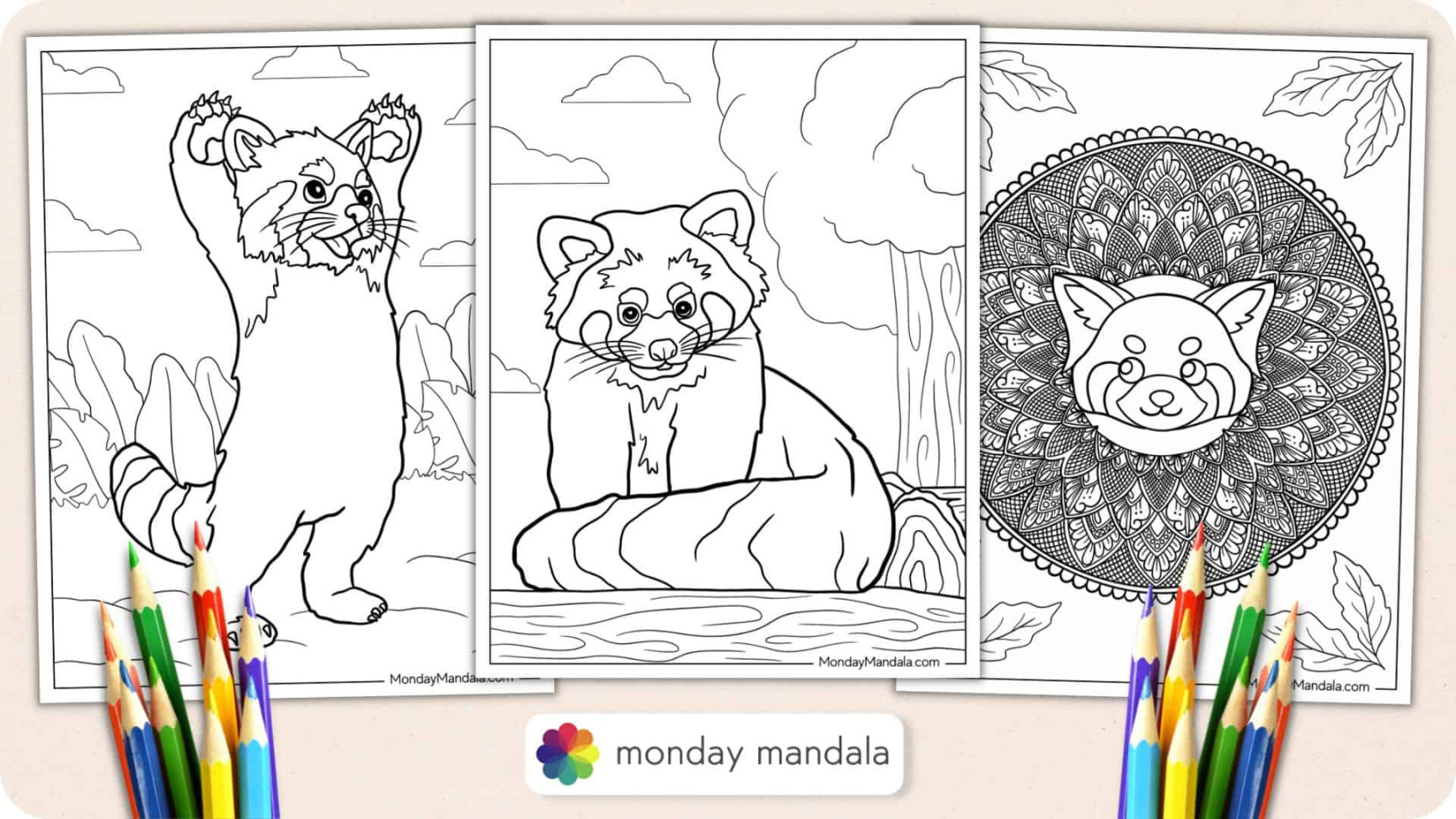 Red Panda Coloring Pages (Free PDF Printables)