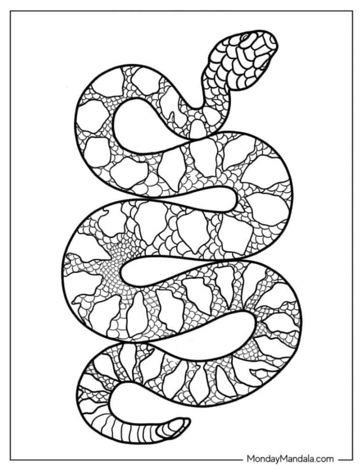 Snake Coloring Pages (Free PDF Printables)