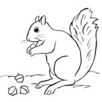 Squirrel Coloring Page – Art Starts