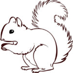 Squirrel Coloring Page  Free Printable Coloring Pages  Squirrel