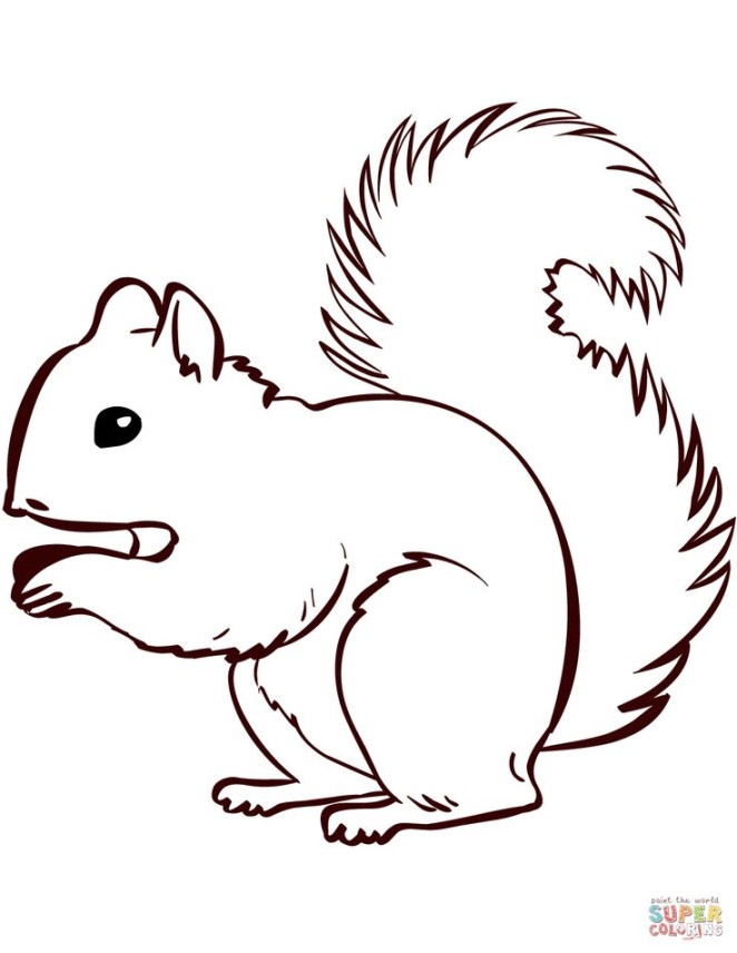 Squirrel coloring page  Free Printable Coloring Pages  Squirrel