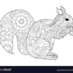 Squirrel With Nut Coloring For Adults Royalty Free Vector