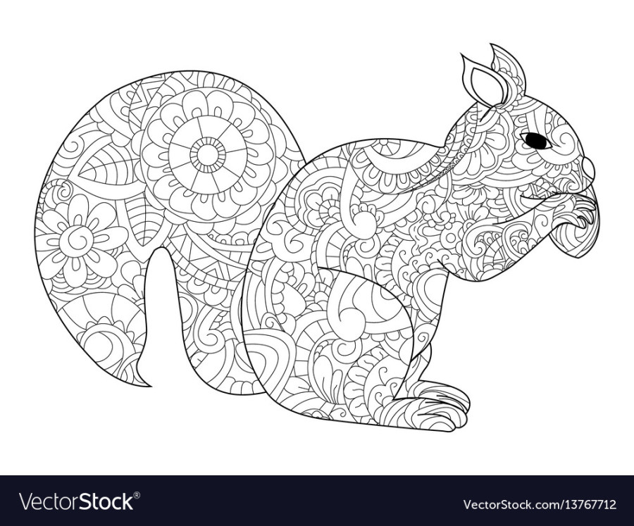 Squirrel with nut coloring for adults Royalty Free Vector