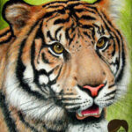 Tiger Colour Drawing By Kelysea  Watercolor Tiger, Animal