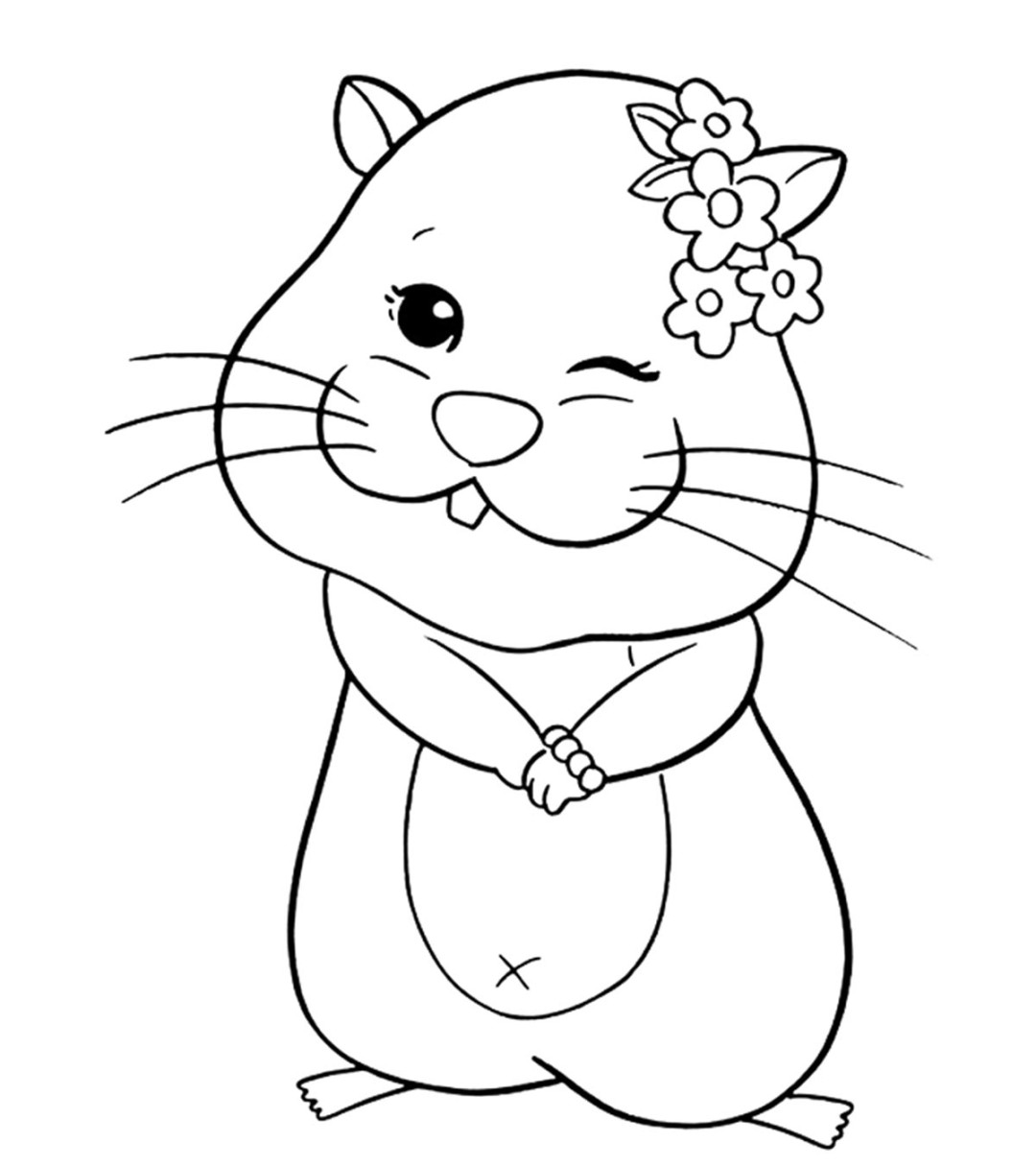 Top  Free printable Hamster Coloring Pages Online