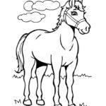 Top  Free Printable Horse Coloring Pages Online