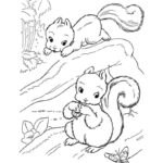 Top  Free Printable Squirrel Coloring Pages Online