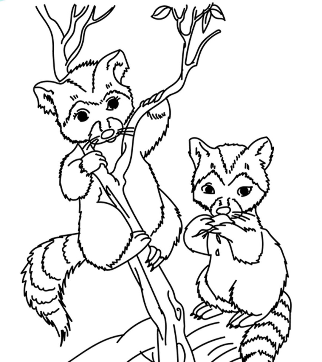 Top  Free Printable Wild Animals Coloring Pages Online