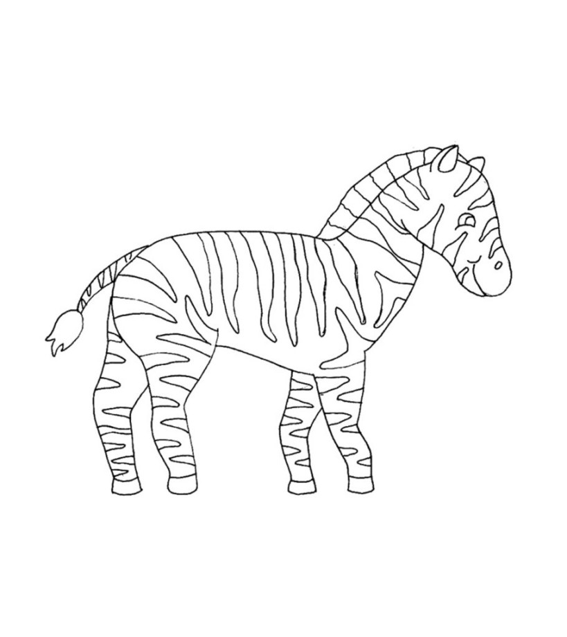 Top  Free Printable Zebra Coloring Pages Online