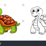 , Tortoise Color Images, Stock Photos & Vectors  Shutterstock